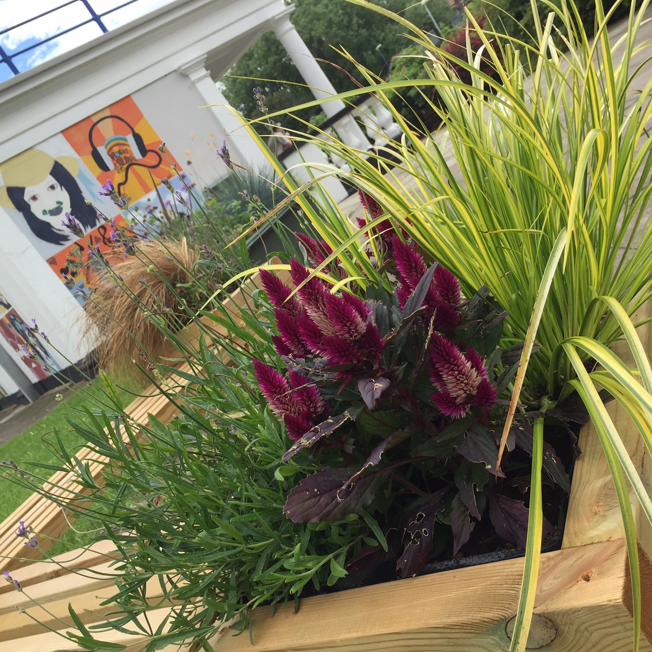 sensory garden 1
