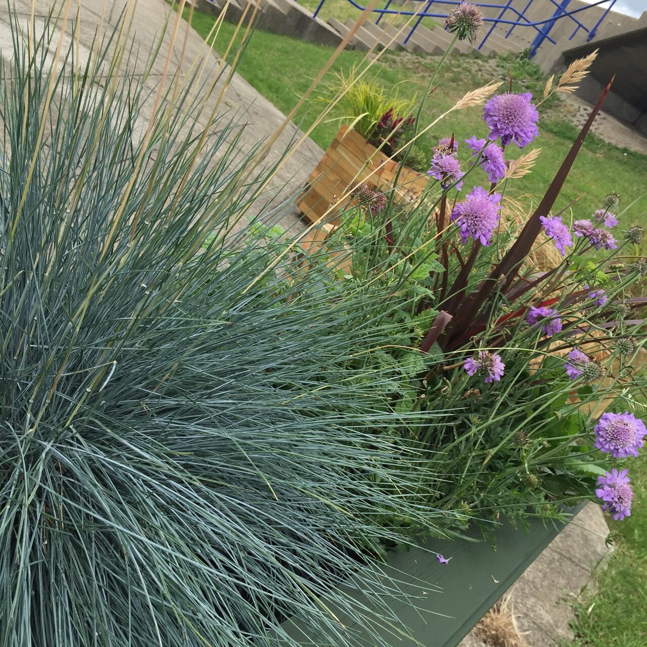 sensory garden 3